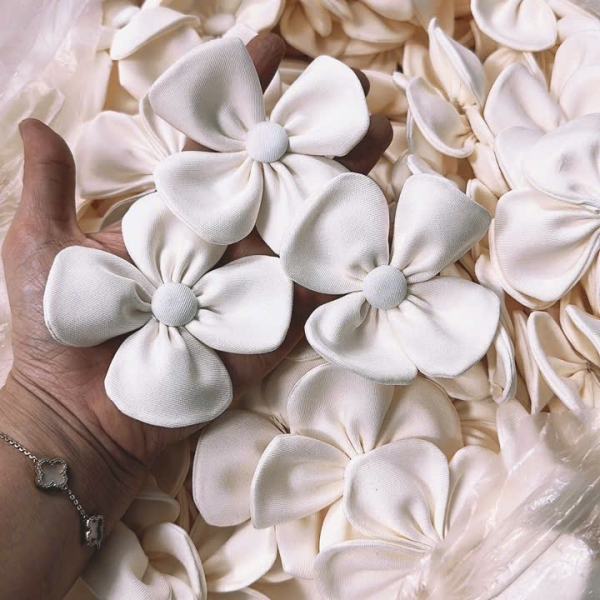 Mẫu số 04