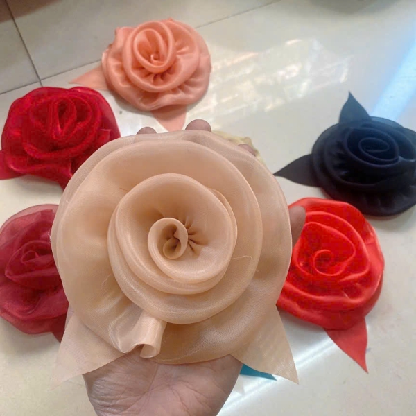 Mẫu số 66