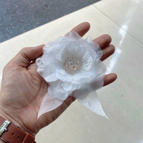Mẫu số 70