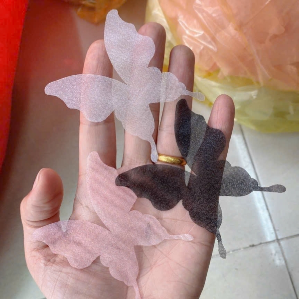 Mẫu số 71
